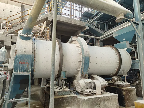 Rotary Drum Coater